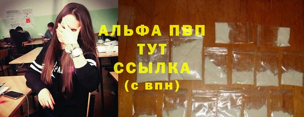apvp Белокуриха