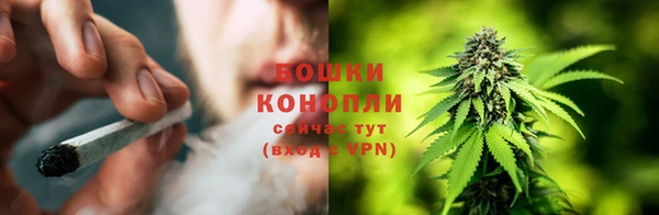 apvp Белокуриха