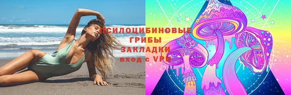apvp Белокуриха