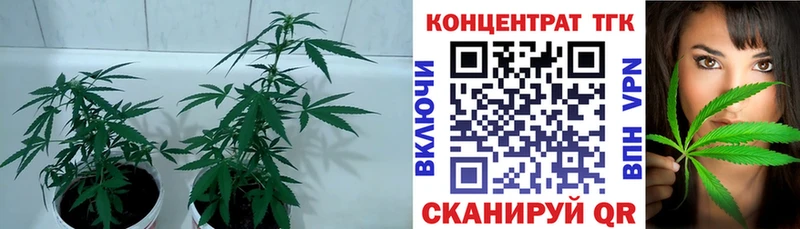 как найти закладки  Невель  ТГК Wax 