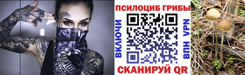 Галлюциногенные грибы MAGIC MUSHROOMS  как найти   Невель 
